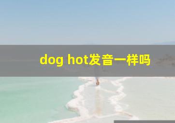 dog hot发音一样吗